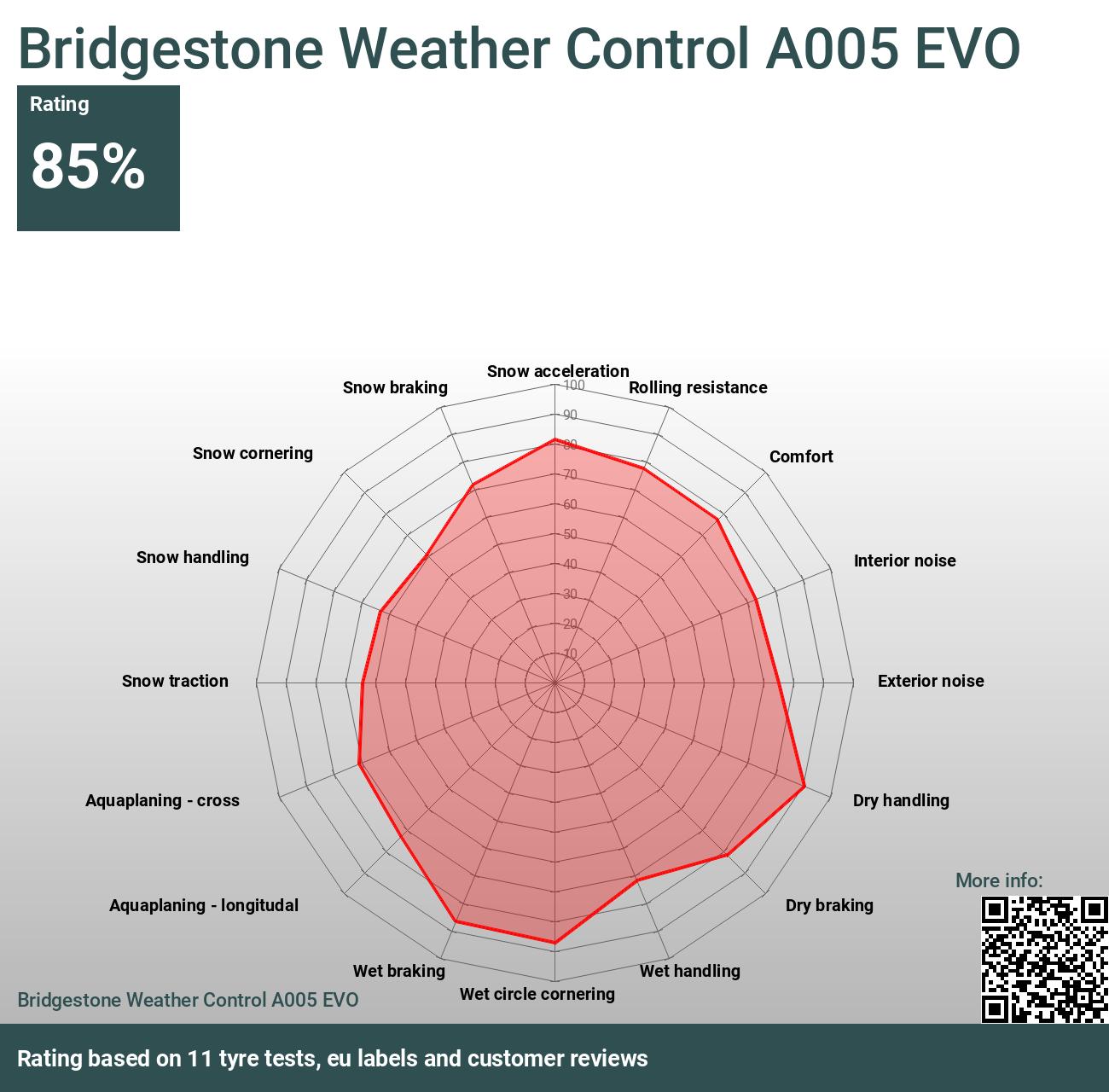 A005 Bridgestone Tests - Weather Bewertungen EVO Control und 2024