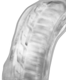 Dunlop SP Sport Maxx RT