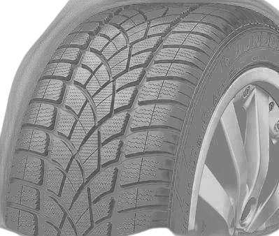 Dunlop SP WINTER SPORT 3D