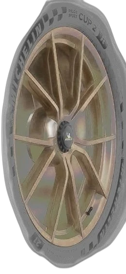 Michelin Pilot Sport Cup 2 R Connect