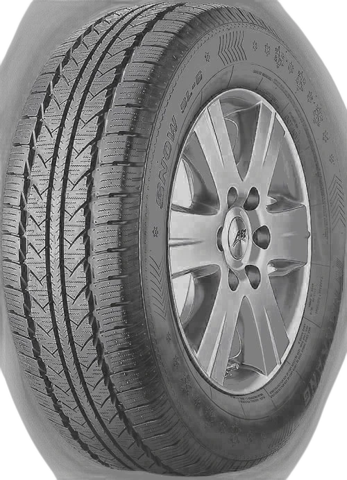 Nankang Winter Activa SL-6 