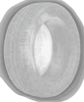 Dunlop Sport Classic