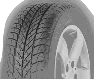 Gislaved Euro Frost 5