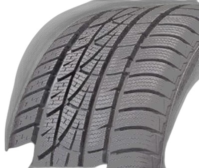 Hankook Winter i*cept evo W310