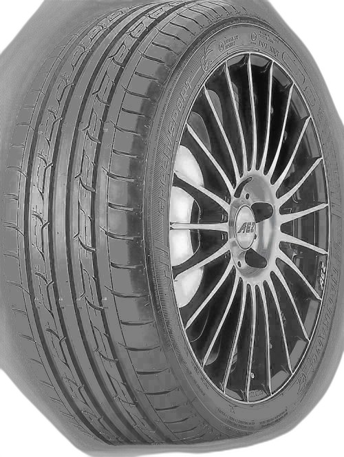 Nankang Greensport Eco 2+ 