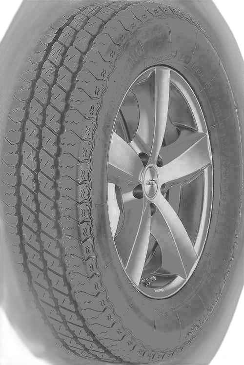Nankang VAN TR-10 