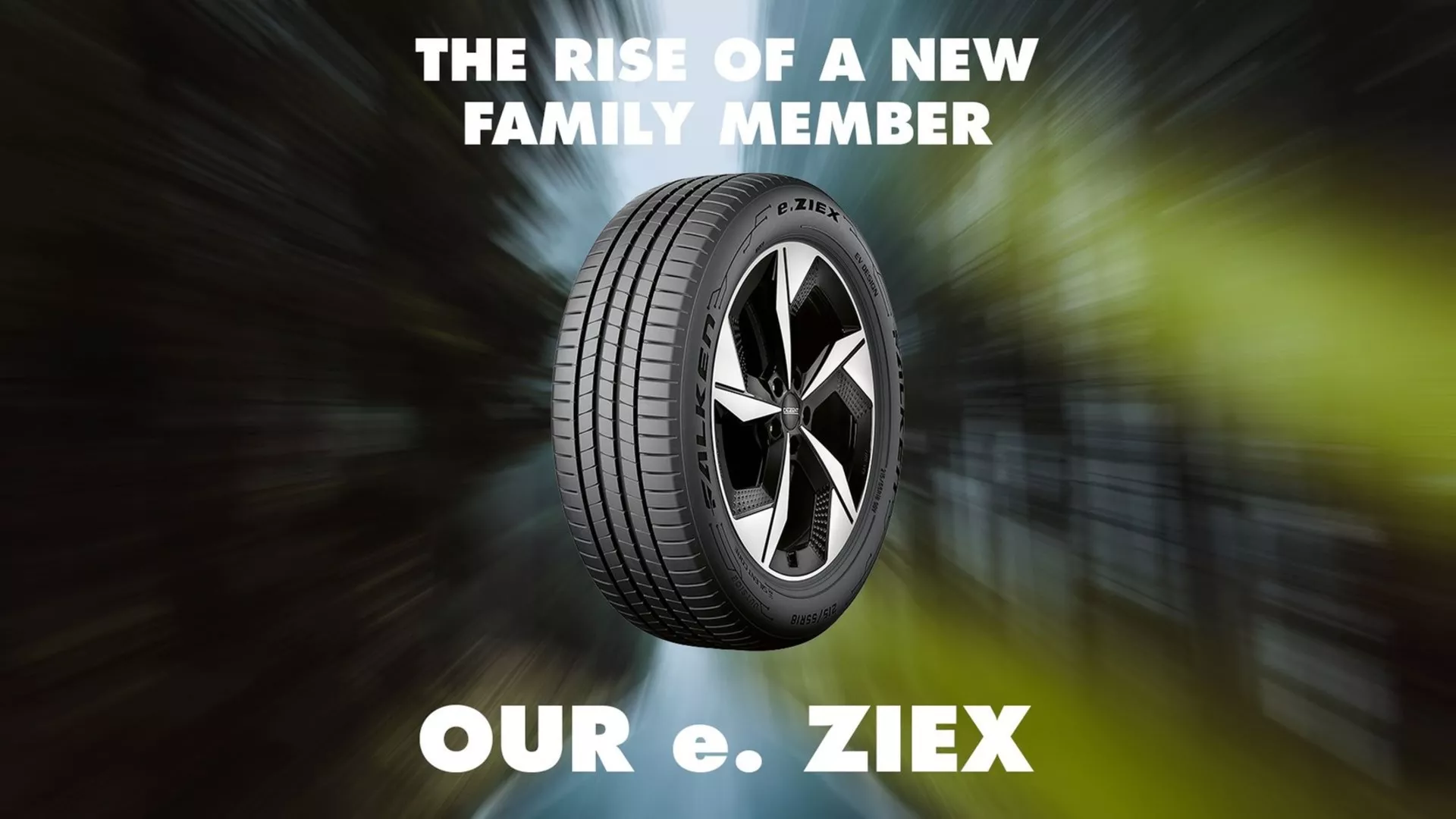 Falken e.Ziex Bild