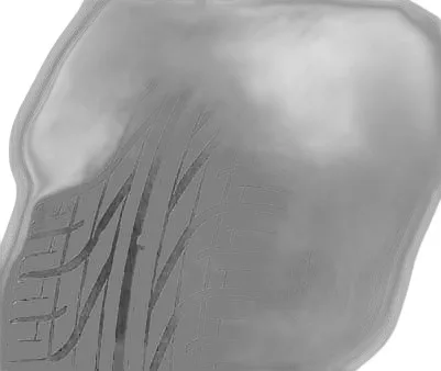 Pirelli P6000